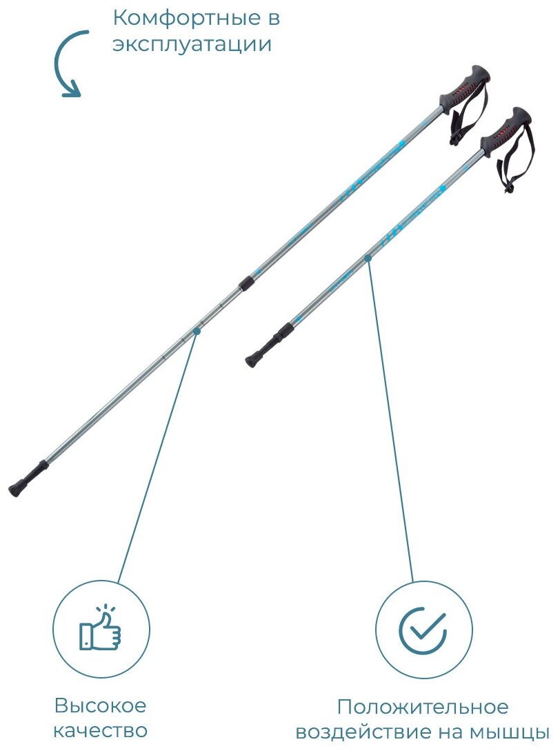 фото Скандинавские палки BERGER Oxygen 2-секционные, 77-135 см, серебристый/голубой