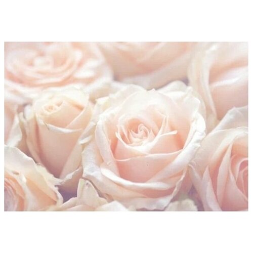 Фотообои Bellissimo Нежные розы 4 листа 200х140 см 635₽