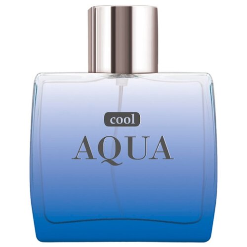 Dilis Parfum туалетная вода Aqua Cool, 100 мл, 600 г dilis parfum cool aqua туалетная вода 100 мл для мужчин