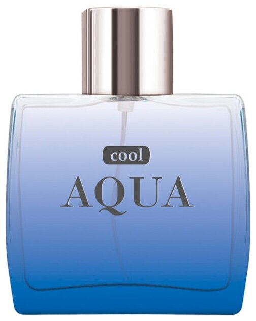 Dilis Parfum туалетная вода Aqua Cool, 100 мл