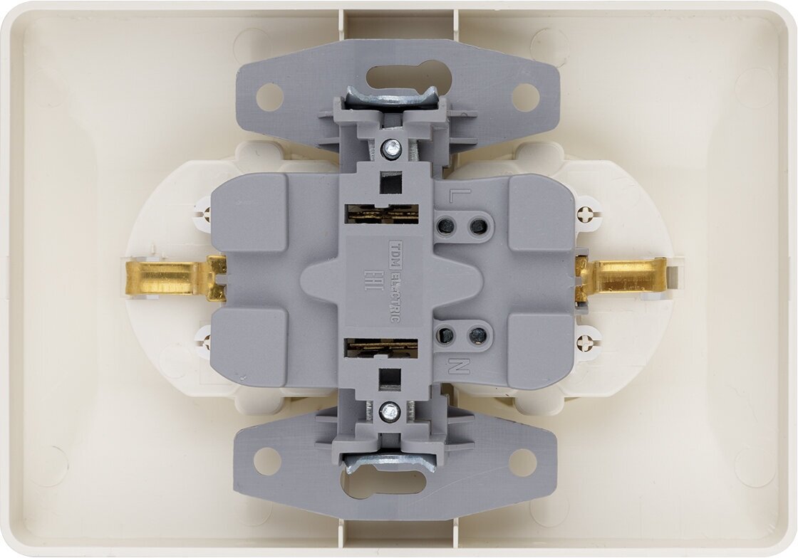 Розетка двойная 2П+З 16А 250В сл. кость "Ильмень" TDM - фотография № 2