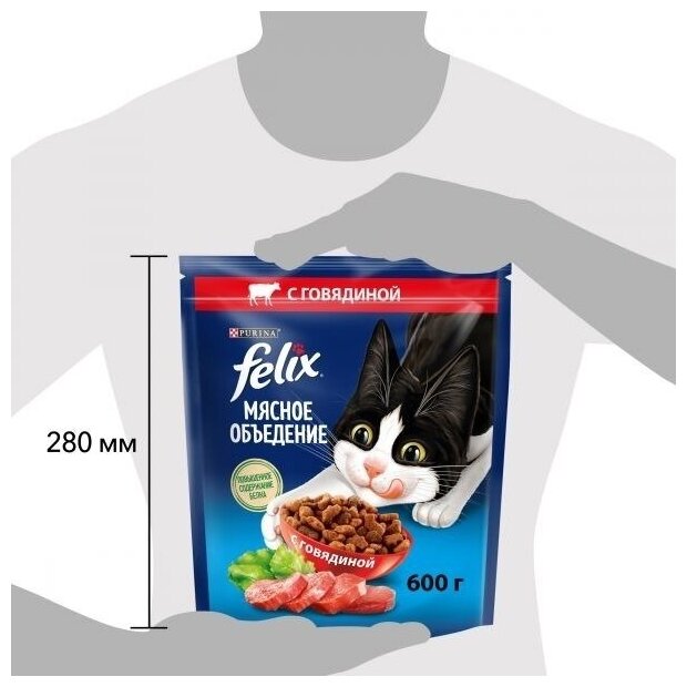 Корм для кошек сухой Felix / Феликс Мясное Объедение для взрослых животных гранулы с говядиной 600г / кошачья еда для ежедневного кормления - фотография № 5