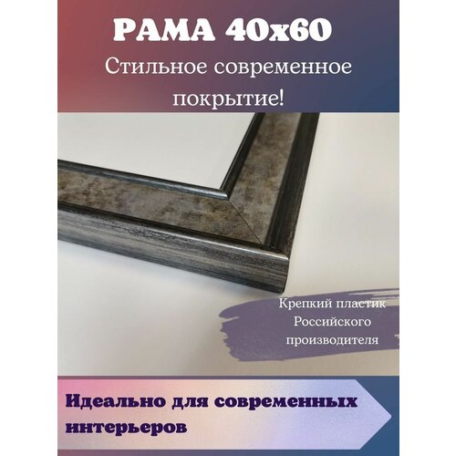 Багет-Богема - темно-серая багетная рама для картины 40 х 60 2352₽