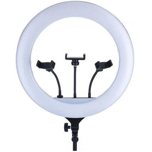 Кольцевая лампа 45 см YQ-460B со штативом и пультом 399000₽