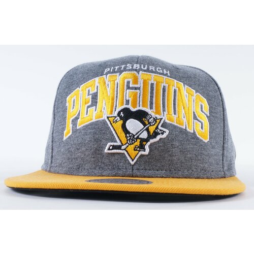 Бейсболка MITCHELL&NESS Jersi Pittsburgh Penguins EU119 (серый)