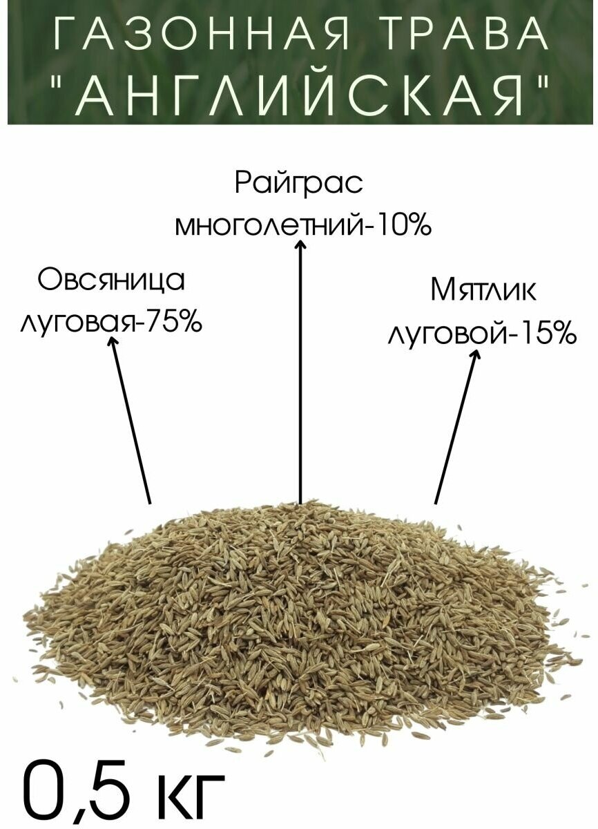 Газонная Трава 