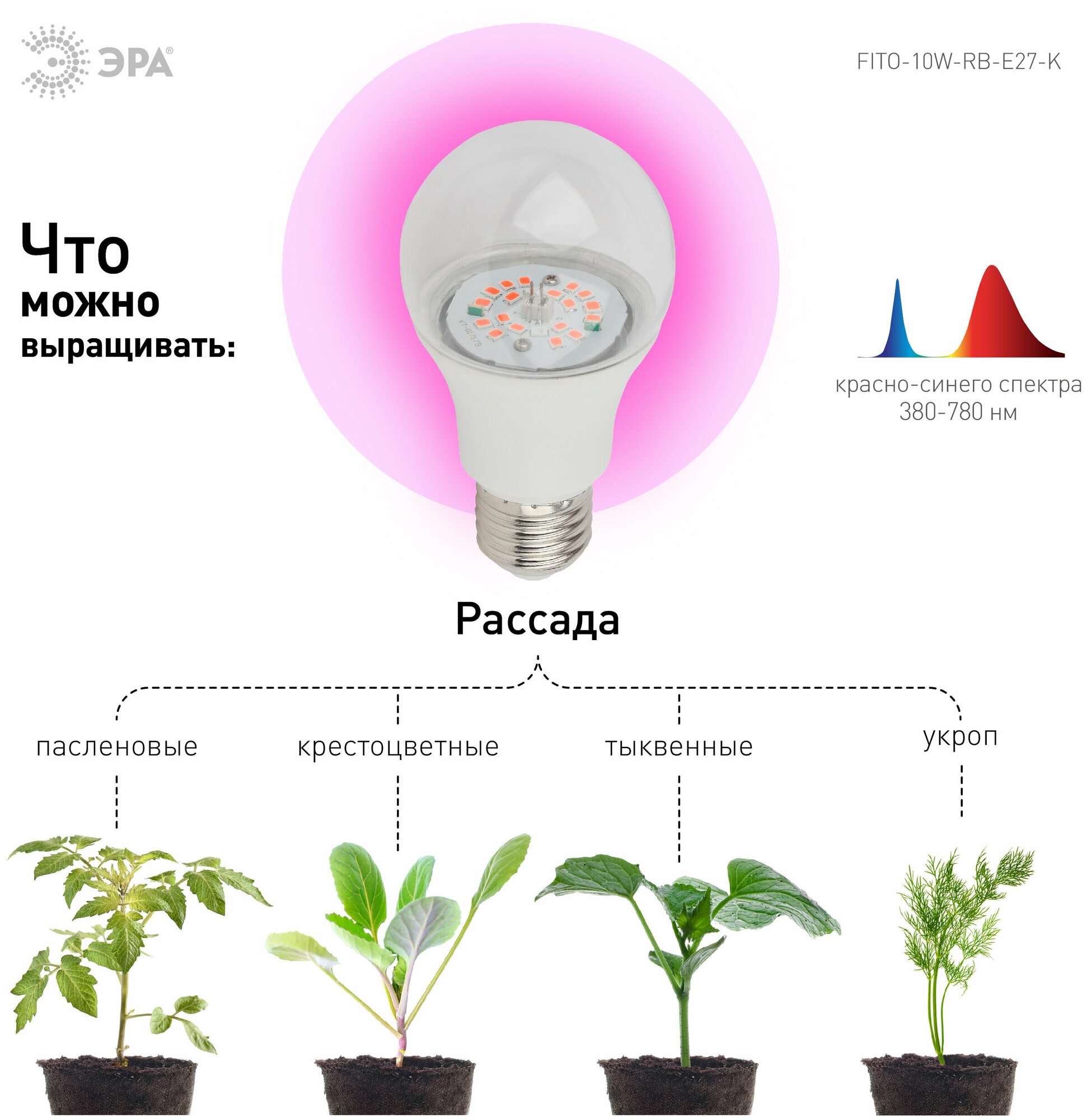 Фитолампа для растений и рассады светодиодная ЭРА FITO-10W-RB-E27-K красно-синего спектра 10 Вт Е27 - фотография № 3