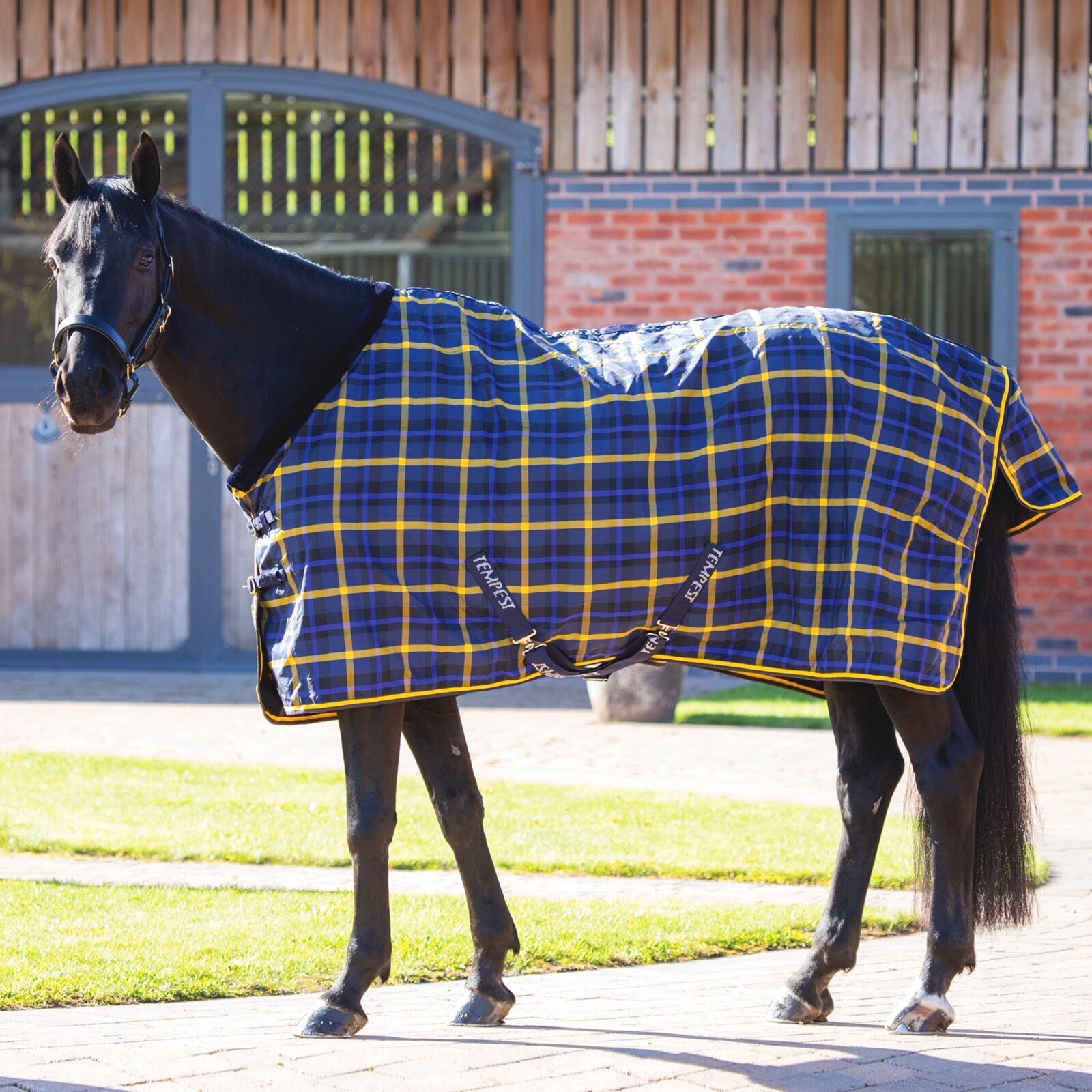 SHIRES TEMPEST Попона денниковая для лошади "Plus", 1200D, 135, синяя клетка (Великобритания) - фото №1