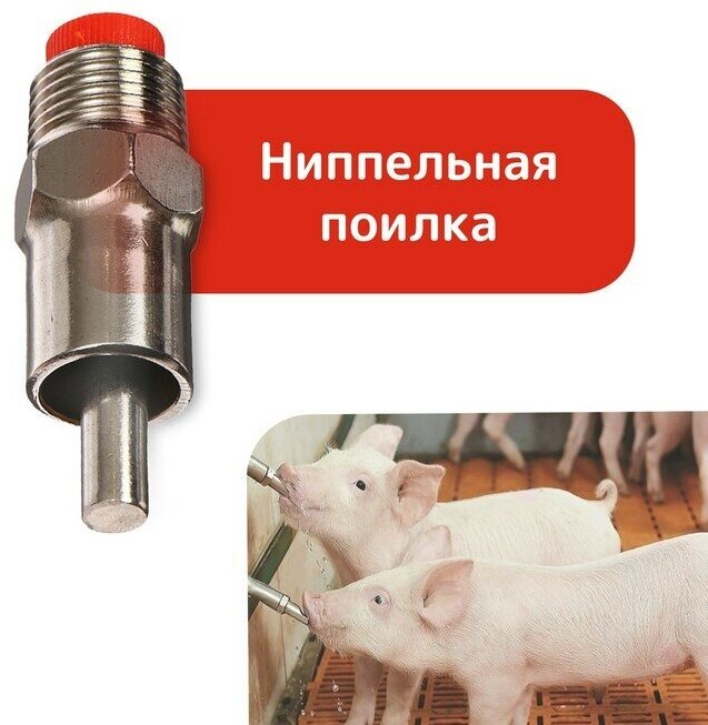 Поилка ниппельная для свиней, диаметр резьбы 1/2", металлическая