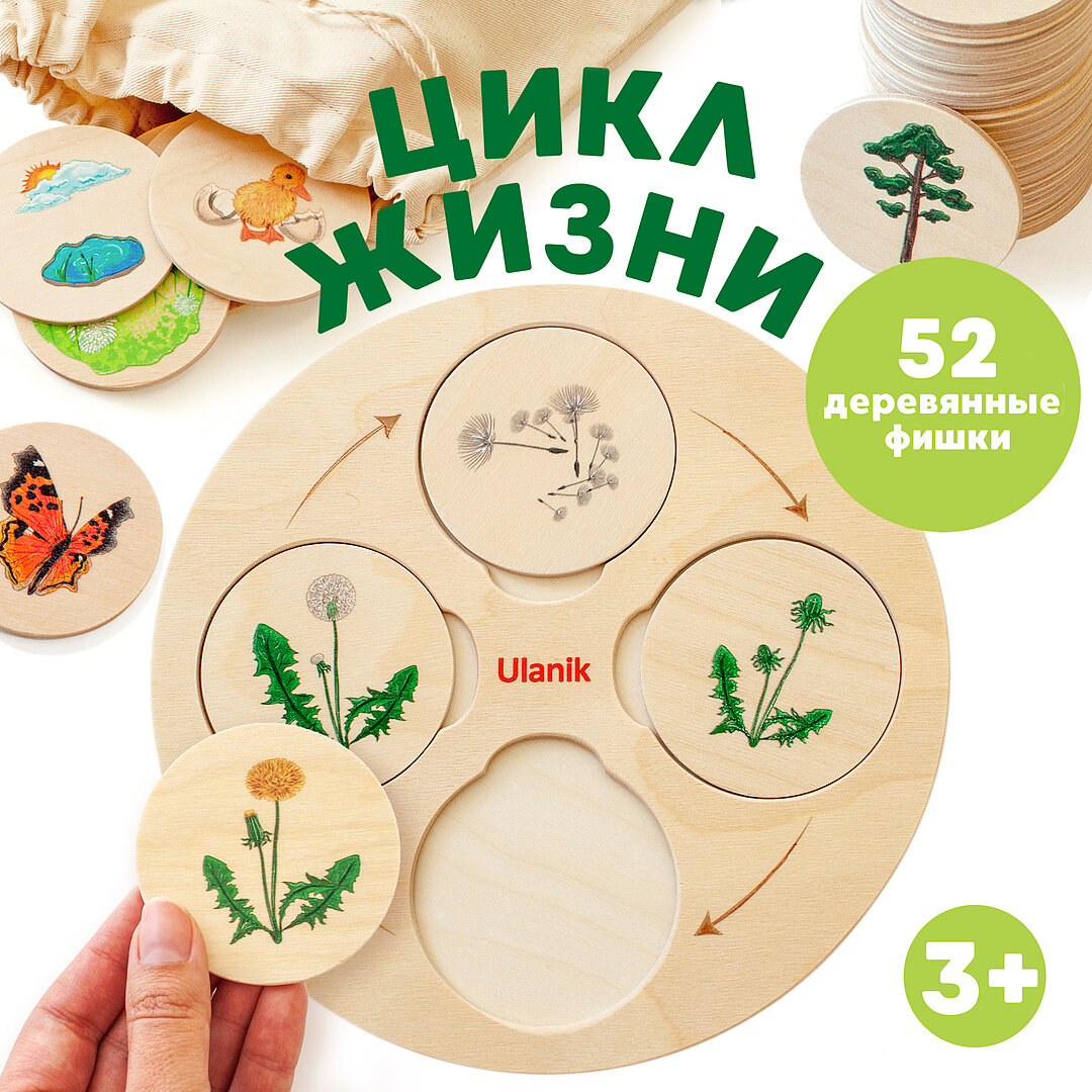 Рамка вкладыш Жизненный цикл развивающая деревянная игра для детей Ulanik