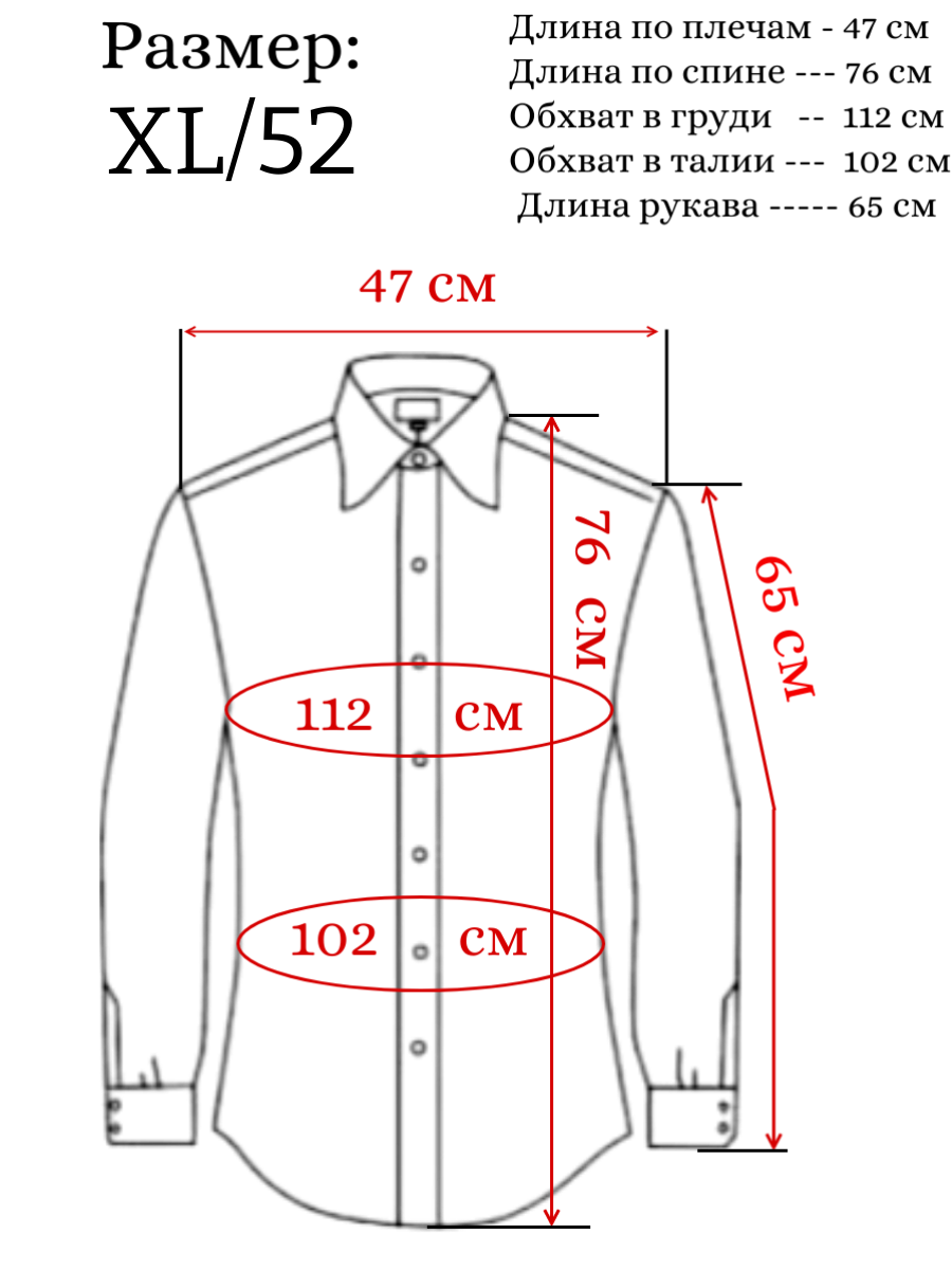 Рубашка Palmary Leading PALMARY LEADING, размер XL/41-42, белый — фото 1