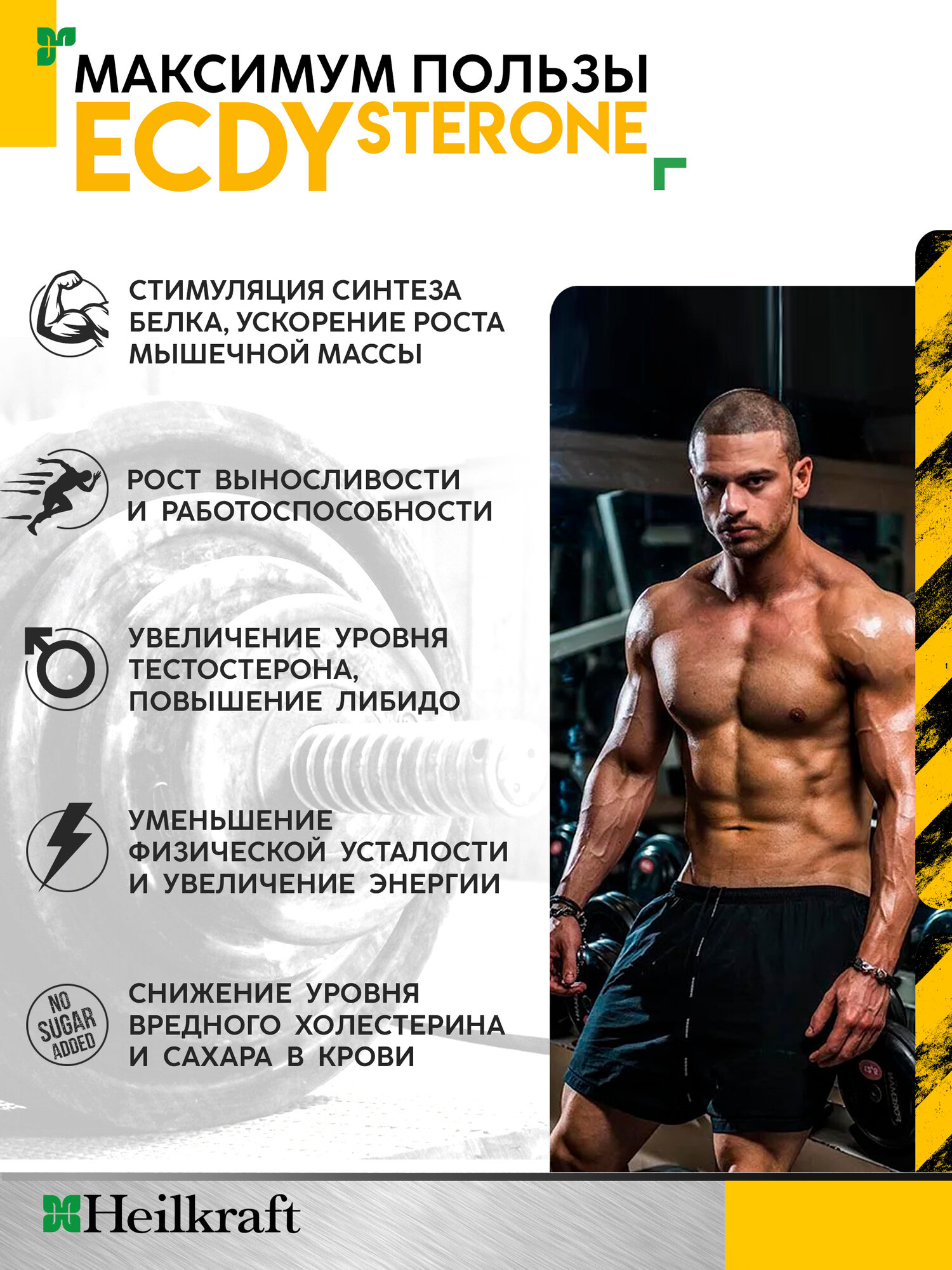 Картинки Экдистерон 400мг, бустер тестостерона, 30 порций / 30 капсул, Ecdysterone-S Heilkraft