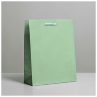 Пакет ламинированный ТероПром 6582783 «Зелёный», MS 18 х 23 х 8 см
