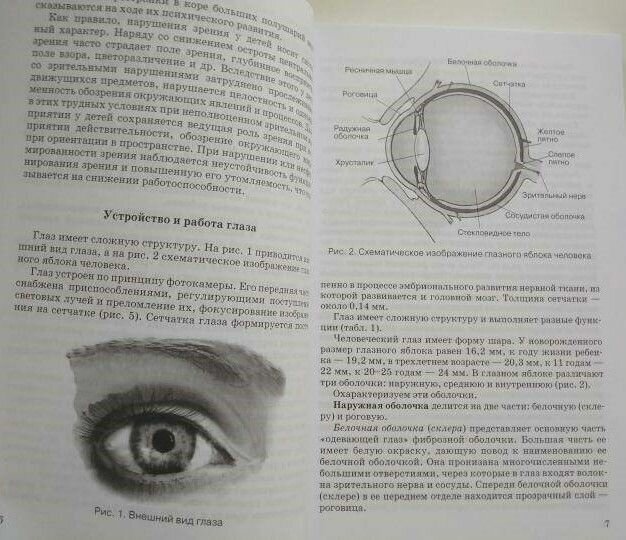 Что и как видят дети от рождения до 10 лет с сохраненным и нарушенным зрением. Учебное пособие - фото №6