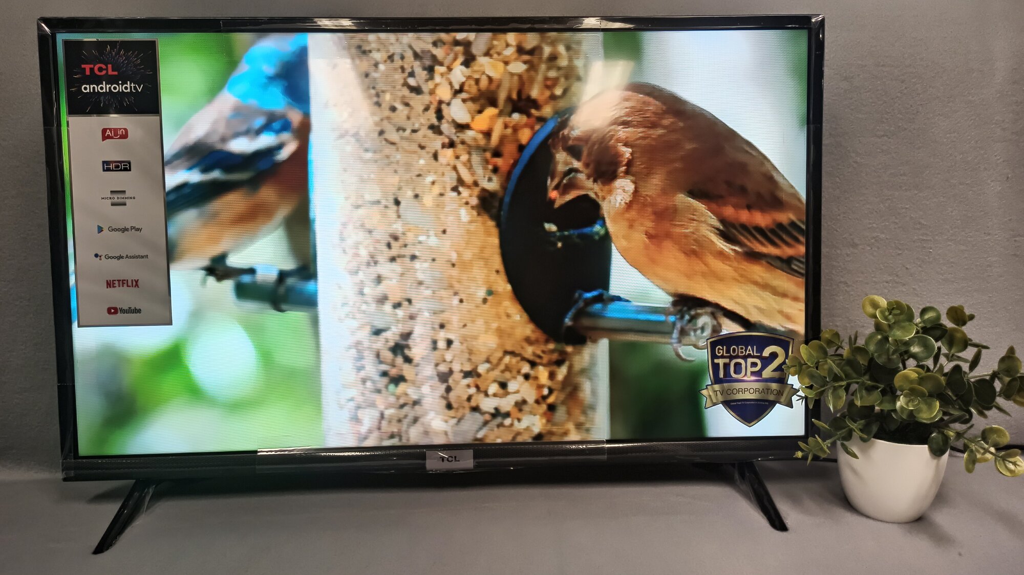 Телевизор TCL , HD READY - фото №17