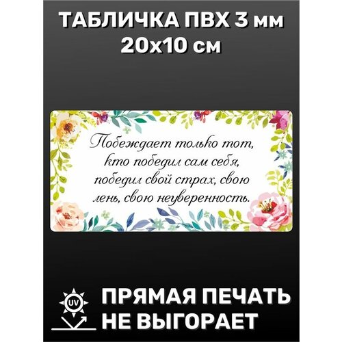 Табличка информационная Победа 20х10 см