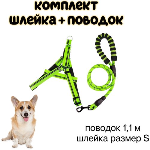 Шлейка для собак с поводком, S, зеленый