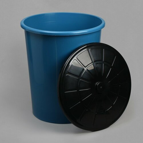 Бак хозяйственно-бытовой 100 л с крышкой синий 7437₽