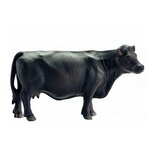 Корова Черный Ангус - изображение