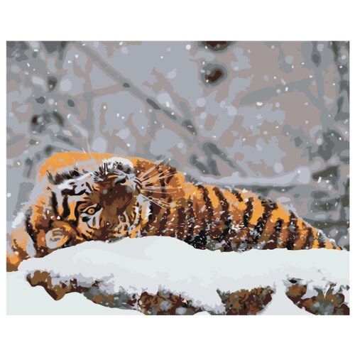 Тигр на снегу Раскраска картина по номерам на холсте