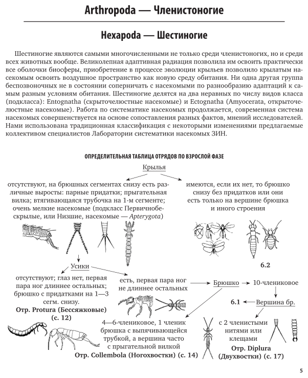 Биология. Определитель семейств насекомых 2-е изд., пер. и доп. Учебное пособие для СПО - фото №6