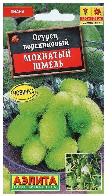 Семена Цветов Огурец "Мохнатый шмель", 10 шт