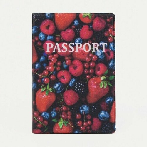 Обложка для паспорта , синий, красный