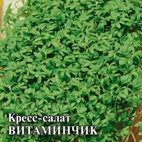 Семена Кресс-салат Витаминчик, 100г, Гавриш, Фермерское подворье