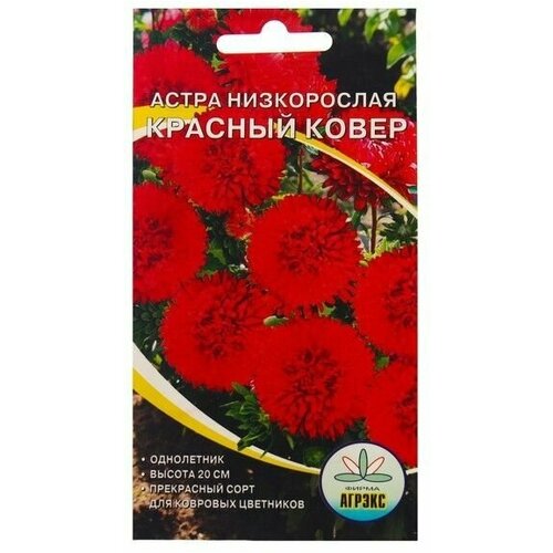 Семена Цветов Астра низкорослая Красный ковер , 0,2 г 14 упаковок астра низкорослая белый ковер
