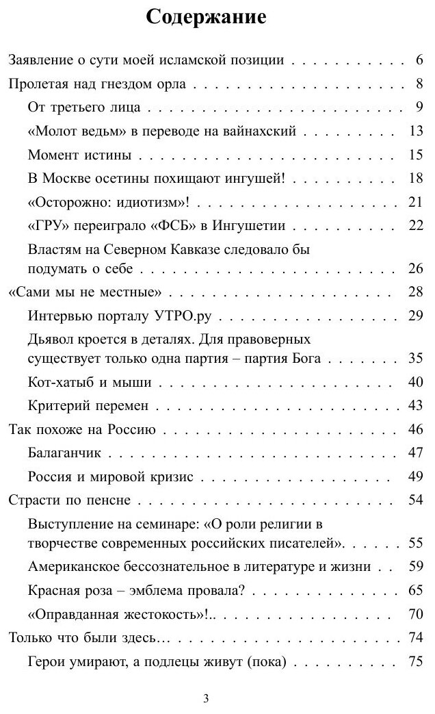 Фузеи и Карамультуки (Гейдар Джахидович Джемаль) - фото №5