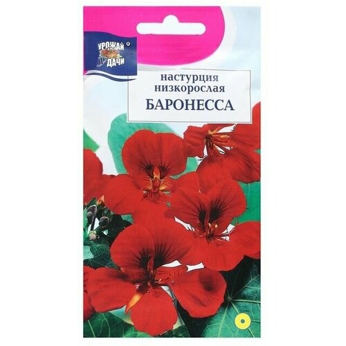 Семена цветов Настурция кустовая баронесса, 0,6 г 5 упаковок