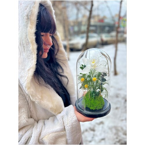 Композиция 