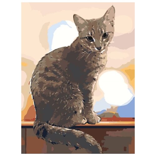 картина по номерам кот в лопапейса 30x40 см Картина по номерам Черный кот, 30x40 см