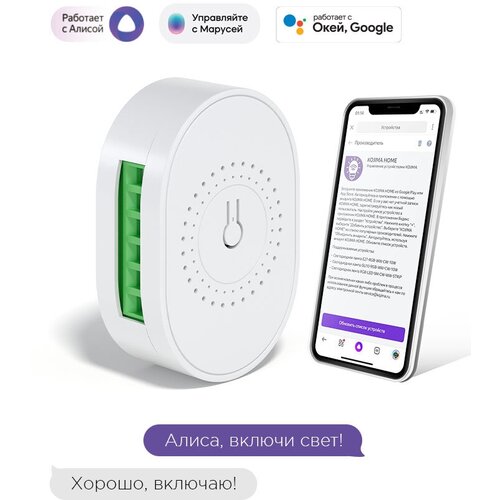 Умное реле с Wi-Fi 433МГц мониторинг потребления Яндекс Алисой Марусей Google Home Wireless Relay 16A 200000₽