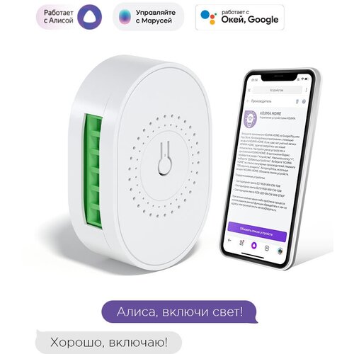 Умное реле с Wi-Fi + 433МГц, мониторинг потребления, Яндекс Алисой, Марусей, Google Home, Wireless Relay 16A