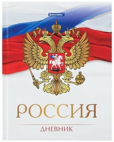 Дневник 5-11 класс 48 л, твердый, BRAUBERG, глянцевая ламинация, с подсказом, "Символика 2", 106067