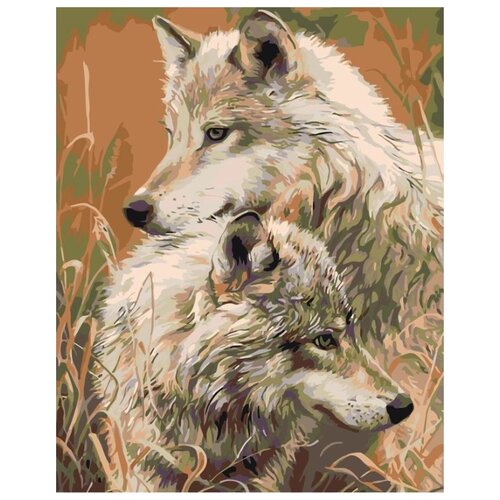 картина по номерам двое в лодке 40x50 см Картина по номерам Двое волков, 40x50 см