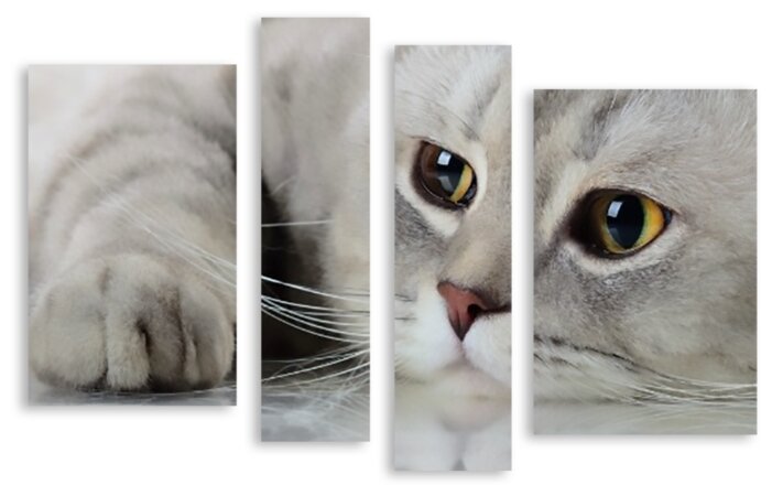 Модульная картина на холсте "Грустный котик" 90x62 см