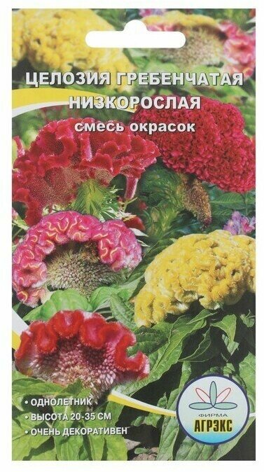 Семена Цветов однолетние Целозия Смесь окрасок гребенчатая низкорослая 01 г 6 пачек