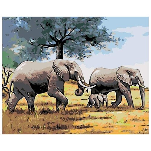 Картина по номерам Семья слонов, 40x50 см картина по номерам две картинки new world стадо слонов идет по реке