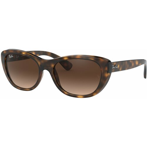 Ray-Ban Highstreet RB 4227 710/13