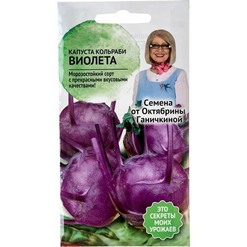 Капуста-кольраби капуста октябрина ганичкина Виолетта семена капуста кольраби виолетта 0 3гр цп