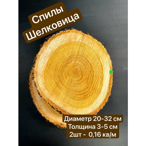 Спилы Шелковицы 20-32 см 2 шт