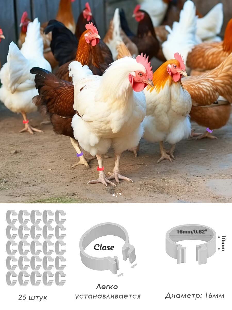 Кольца для маркировки домашней птицы пластиковые цветные 16 мм 25штук.