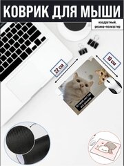 Коврик для мышки , Компьютерный ковер для мыши Коты