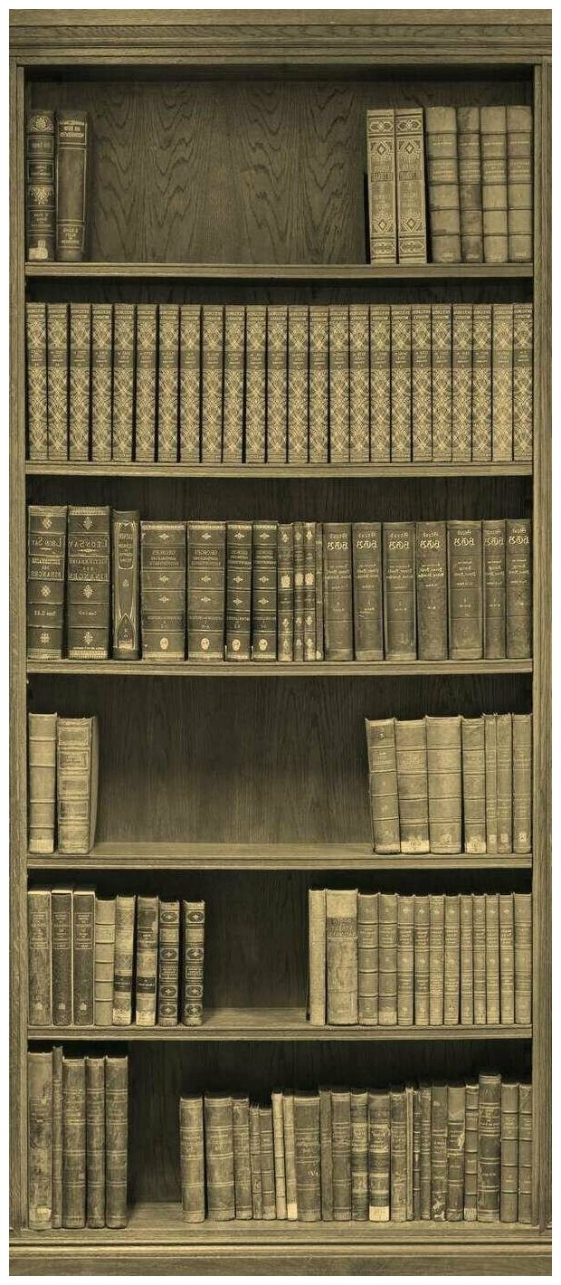 фото Самоклеящиеся фотообои "Библиотека"