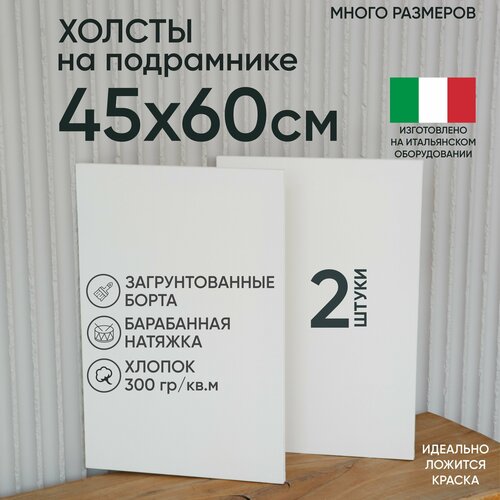Холст на подрамнике, 2 шт, размер 45 х 60 см, Артель художников, хлопок 300 г/м2, грунтованный