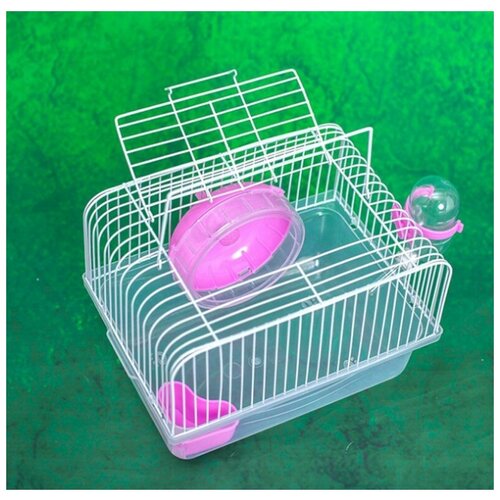 Клетка с колесом для грызунов, Bentfores (прозрачный/розовый, 23 х 17 х 16 см, 33798)
