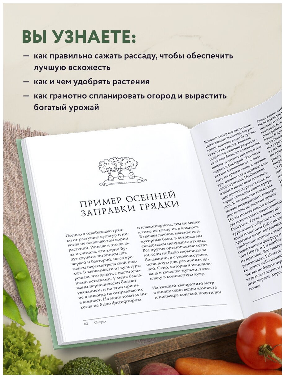 Больше, чем 5 соток. Как на маленьком участке получить максимум урожая - фото №3