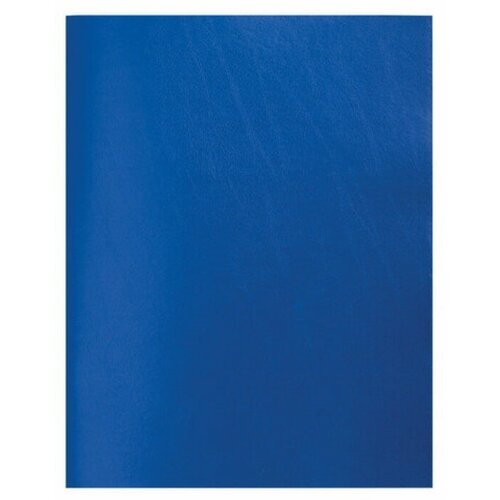 Тетрадь А4 в клетку 80 листов STAFF синяя 13640₽